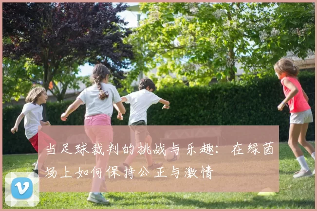 当足球裁判的挑战与乐趣：在绿茵场上如何保持公正与激情