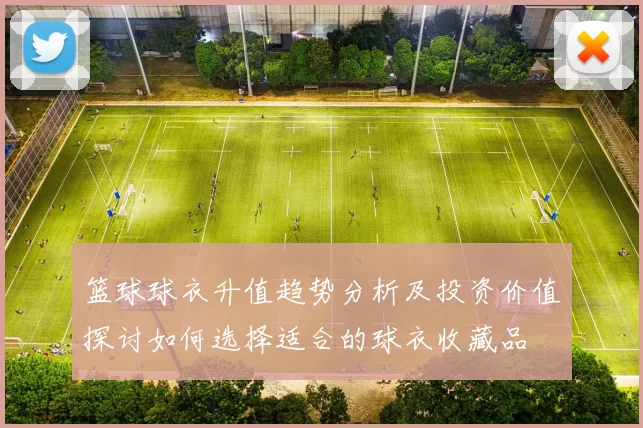 篮球球衣升值趋势分析及投资价值探讨如何选择适合的球衣收藏品