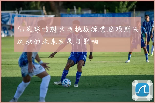 仙足球的魅力与挑战探索这项新兴运动的未来发展与影响